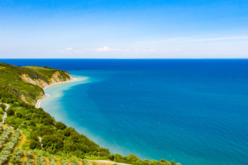 Fototapeta premium Aerial view of vineyard by the sea and seaside with viticulture