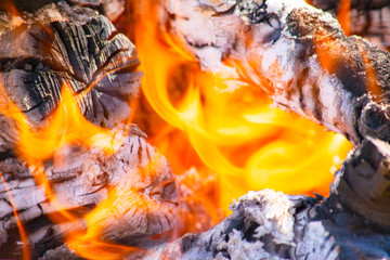 firewood burning on a brazier brazier, fire, coals, background