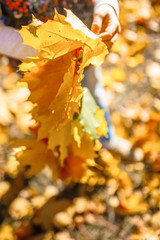Woven autumn leaves in a row in children's hands