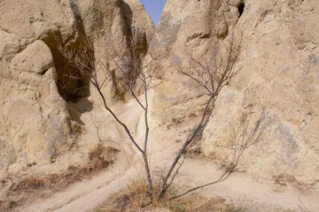 A view of the city of Goreme in the evening, Turkey.