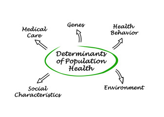 Five  Determinants of Population Health