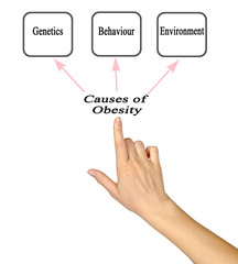 Three Cause of Obesity:.Genetics,.Behaviour,.Environment