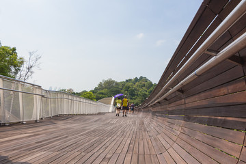 Henderson Waves bridge