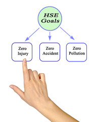 Three Goals of HSE Program