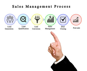 Fototapeta premium Components of Sales Management Process
