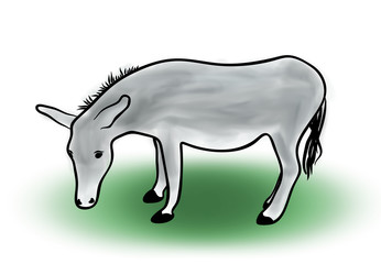 Digital illustration, color sketch of grey donkey on white background, outline hand painted drawing
