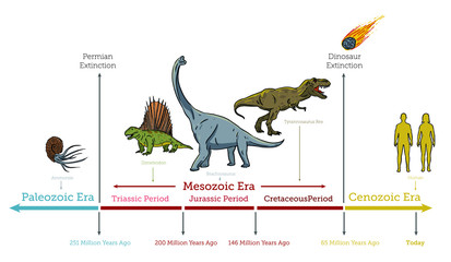 Dinosaurs Extinction infographic diagram showing paleozoic mesozoic cenozoic eras and dinosaurs periods including triassic jurassic cretaceous million years ago for geology science education - Vector - obrazy, fototapety, plakaty