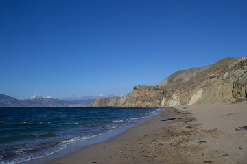 Fototapeta na wymiar Sick off the coast in Crimea