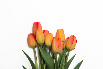 Bouquet of red tulips isolated on white background. Top view. Close-up.