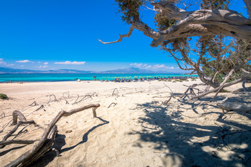 Exotic Chryssi island at the south of Crete, with the amazing Golden Beach, Greece