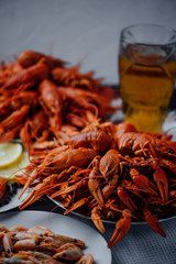two large plates with boiled crayfish, boiled shrimps and beer