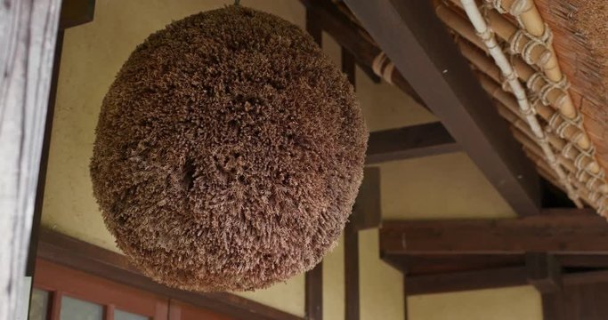 Ball made of cedar leaves