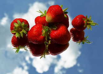 Red ripe strawberry berries laid out horizontally in a row on a mirror with the reflection of the sky and clouds