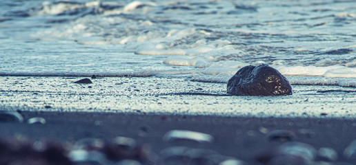 Close-up of stones on the beach lapped by water