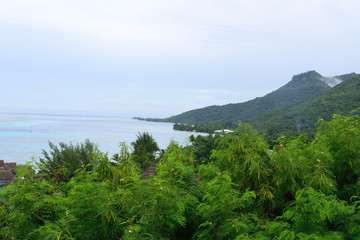 Fototapeta na wymiar タヒチ　モーレア島