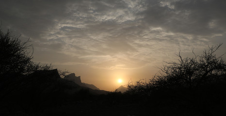  trees with the sunset in Oman mountains