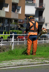Male worker cutting lawn by using electric grass trimmer.