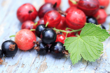 Red and Black currants on old wooden background. Antioxidant, diet, organic berries. Detox сocktail ingredients
