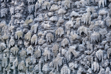 The artificial stalactite wall made of lime stucco in early Baroque Wallenstein Garden, built with the Wallenstein Palace