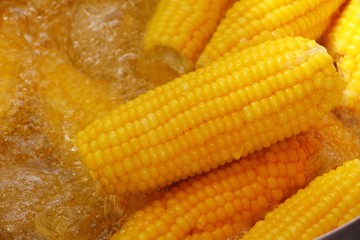 Corn boil is delicious at street food (