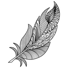 Feather isolated.  Vector illustration.