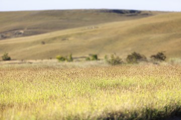 Obraz premium Morning.