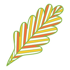 Fototapeta na wymiar Leaf isolated on white. Vector illustration 