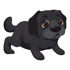 Labrador puppy icon. Cartoon of labrador puppy vector icon for web design isolated on white background