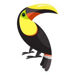 Toucan parrot icon. Cartoon of toucan parrot vector icon for web design isolated on white background © anatolir
