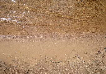 The sun is reflected from the sandy shore of the water.