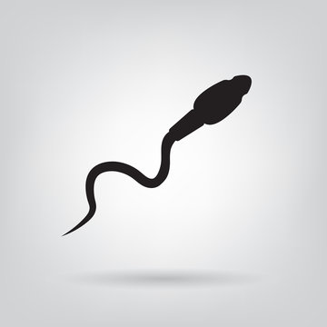 sperm male reproductive cell icon- vector illustration