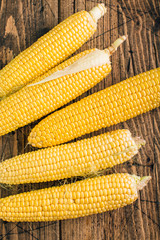 Fresh raw corn on the cob on a wooden background