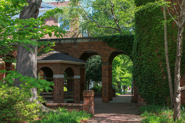 Hallowed Brick Halls