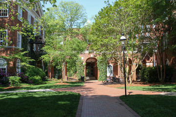 Hallowed Brick Halls