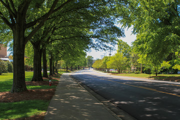 Hallowed Brick Halls