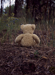 brown teddy bear sits back in the middle of a sandy road in the forest