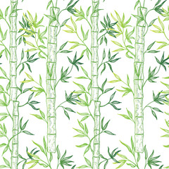 Seamless pattern with bamboo. Vector illustration. 
