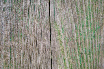 Old wooden fence with peeling paint