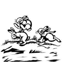 Sketch drawing of hares playing, on white background
