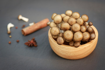 Shimeji mushroom in raw on wooden bowl for cooking ingredient in kitchen 