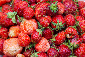 Freshly picked strawberries. Close-up.