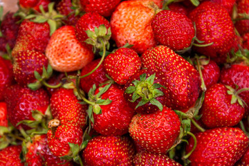 Freshly picked strawberries. Close-up.