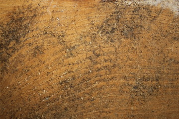 texture planche