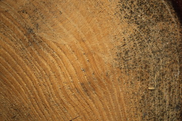 texture planche