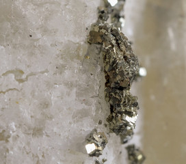 Mineral pyrite on quartz, known as fool's gold