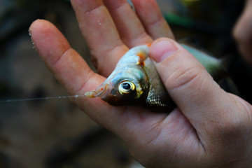  34 / 10000 АНГЛИЙСКИЙ Перевести вGoogleBing The fisherman caught a fish in the urban river