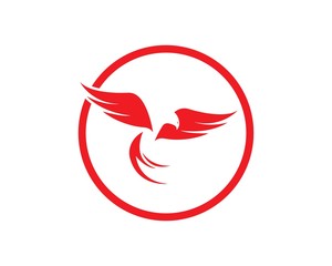 Falcon Eagle Bird Logo Template vector icon
