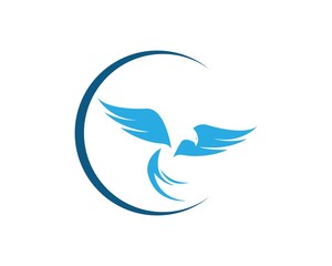 Naklejka premium Falcon Eagle Bird Logo Template vector icon