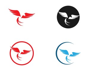 Falcon Eagle Bird Logo Template vector icon