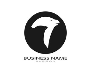 Falcon Eagle Bird Logo Template vector icon
